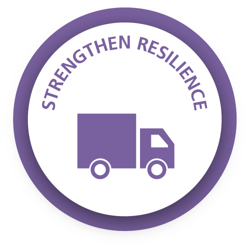 Strengthen Resilience